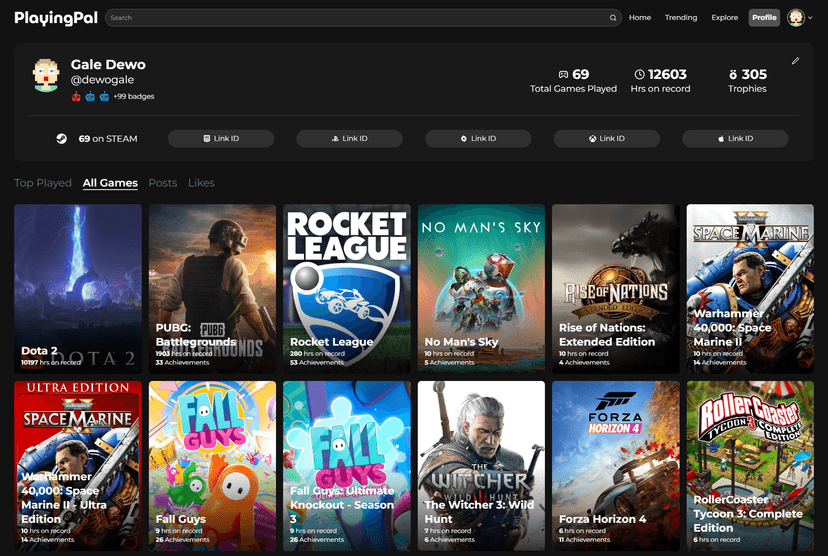 Sample Gamer Profile 1