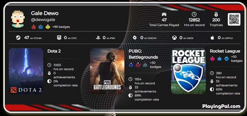 Sample Gamer Profile 2